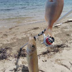 梅雨の合間のキス釣り